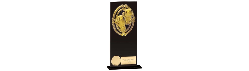 FUSION MAVERICK BOXING TROPHY - 5 SIZES - 12.5CM - 20CM FUSION MAVERICK BOXING TROPHY - 5 SIZES - 12.5CM - 20CM